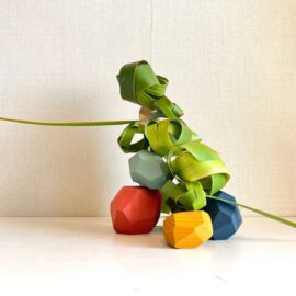 ニューサイランと積み木